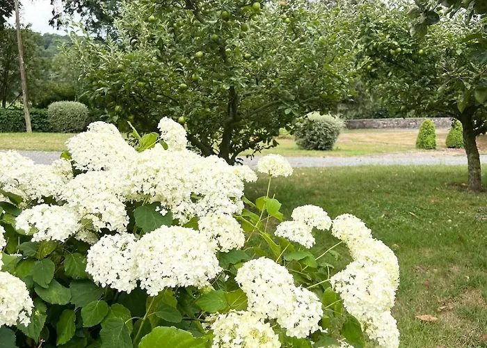 La Maison De Cecile Jusqu'a 6 Personnes En Normandie Сasa de vacaciones *
